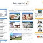 Création du site internet "Bretagne mit Herz"
